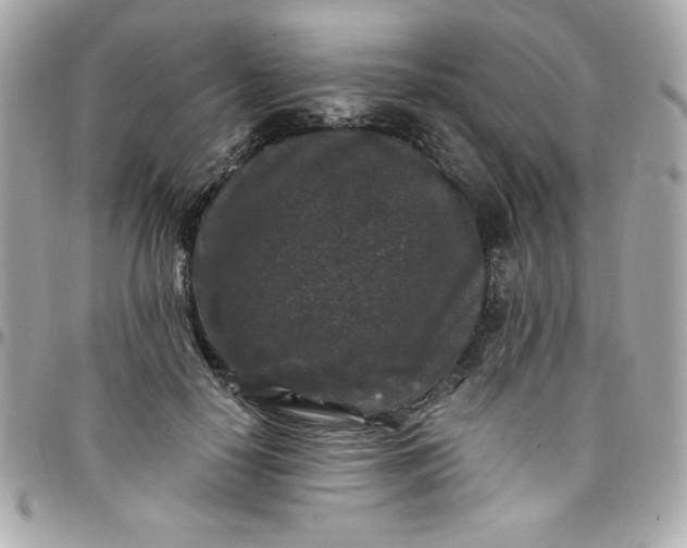X0000097790650200803211822