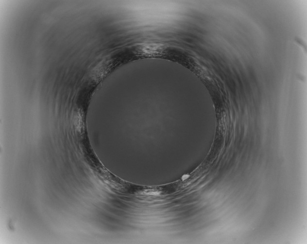 X0000097790651200803211822