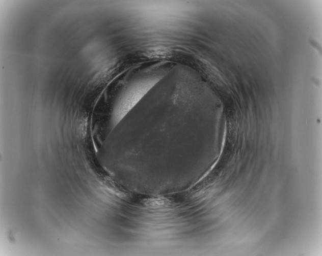 X0000097790652200803211822