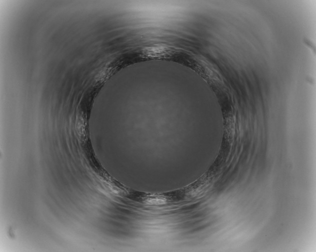 X0000097790653200803211822