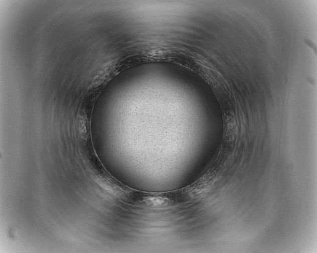 X0000097790654200803211822
