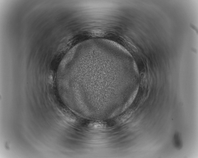 X0000097790655200803211822