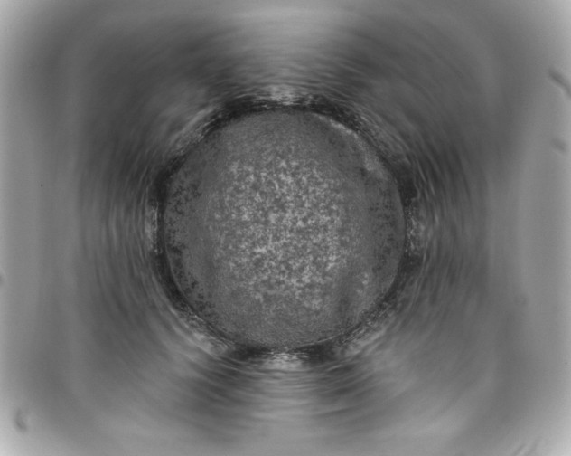 X0000097790656200803211822