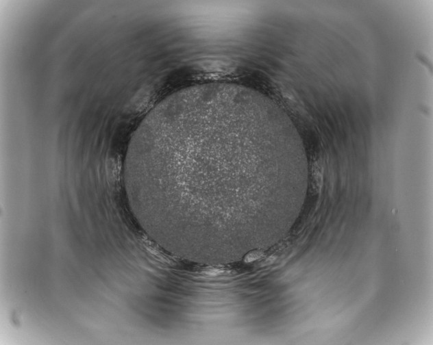 X0000097790657200803211822