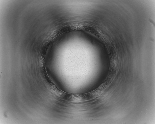 X0000097790658200803211822