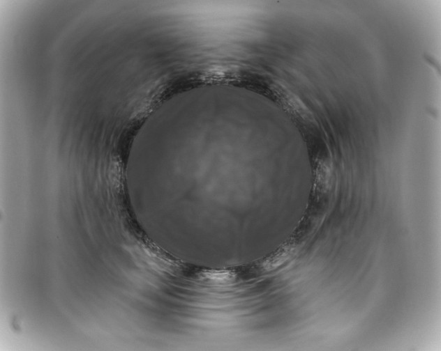 X0000097790659200803211822
