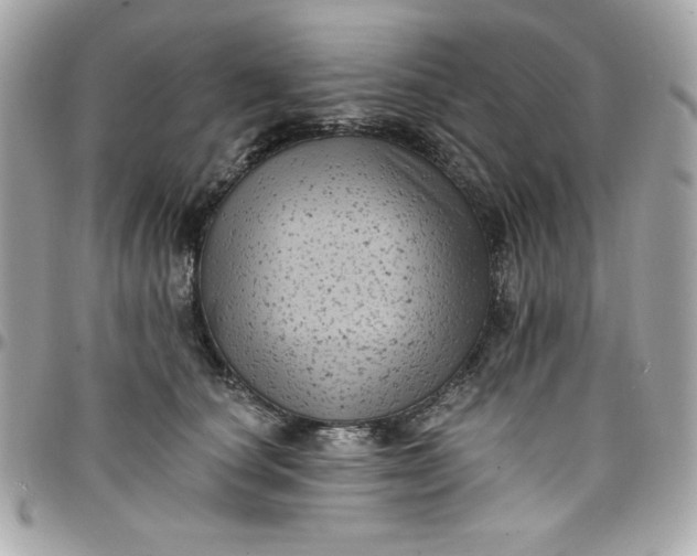 X0000097790660200803211822