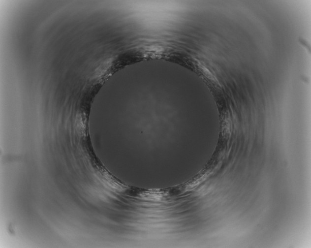 X0000097790661200803211822