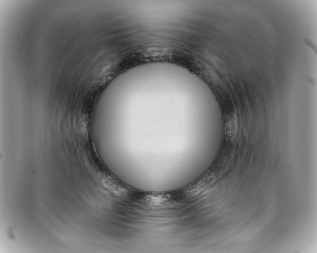 X0000097790662200803211822