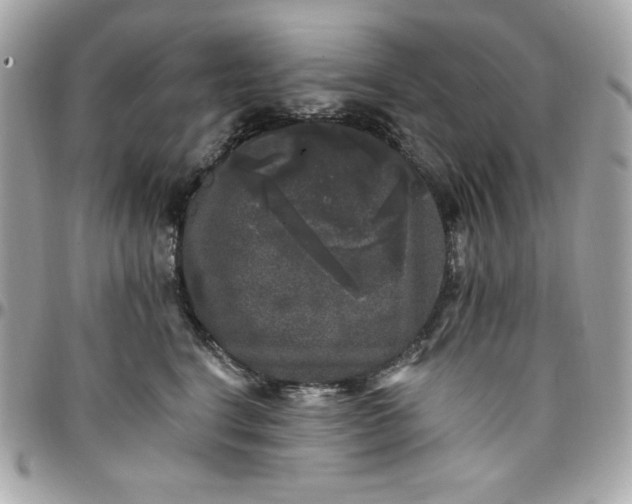 X0000097790664200803211822