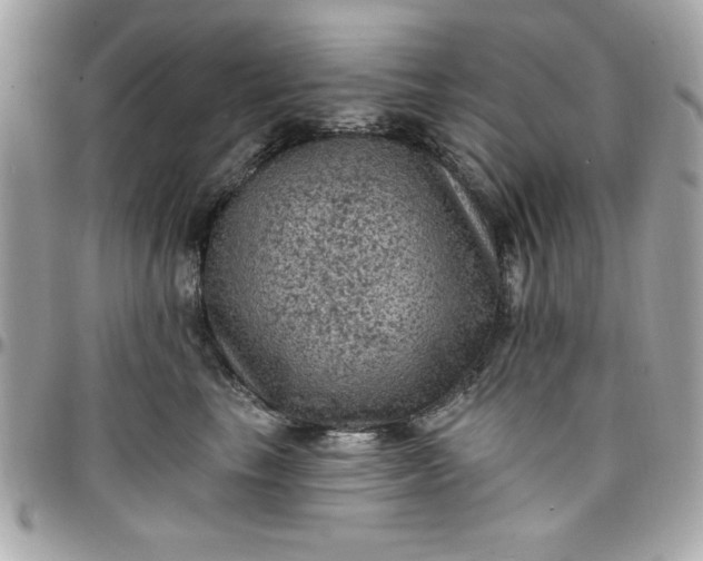 X0000097790665200803211822