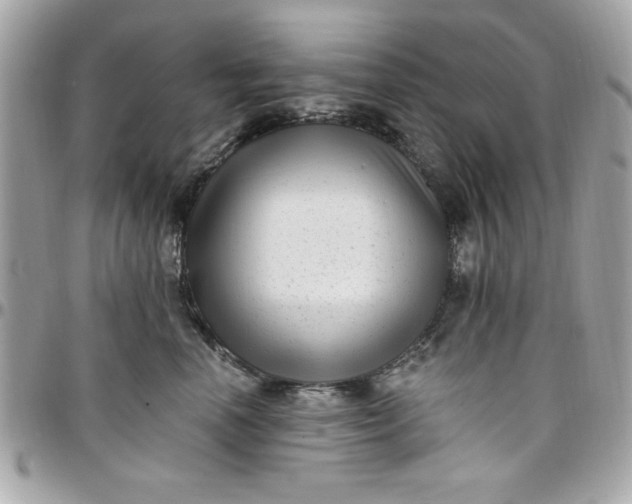 X0000097790666200803211822