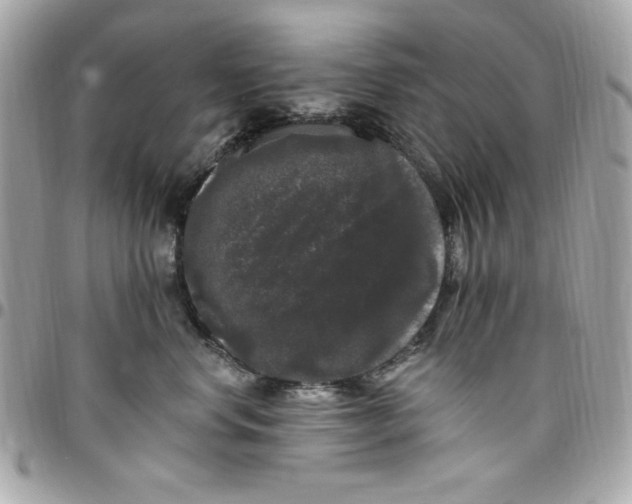 X0000097790668200803211822