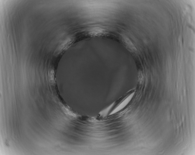 X0000097790670200803211822
