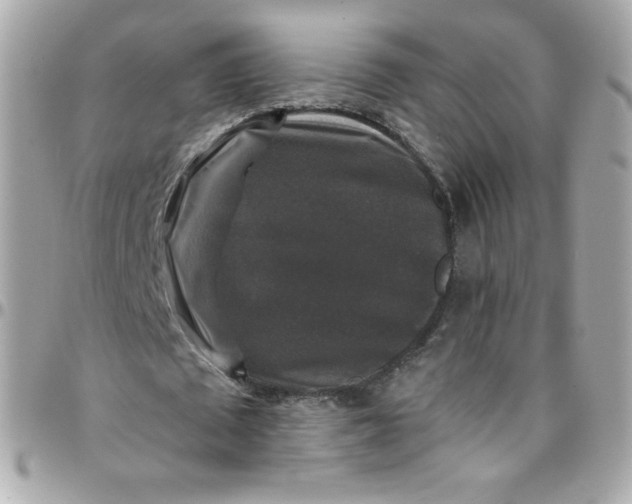 X0000097790673200803211822