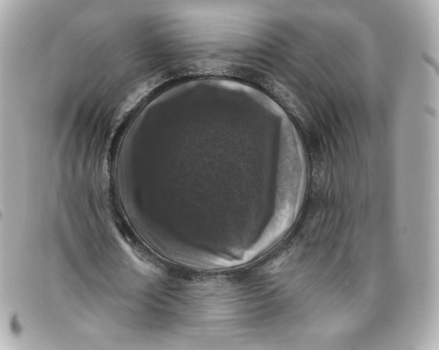 X0000097790674200803211822