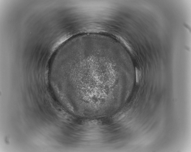 X0000097790675200803211821