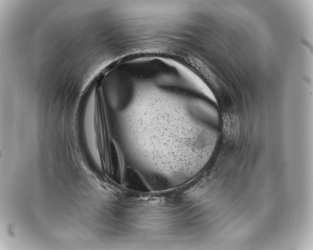 X0000097790676200803211821