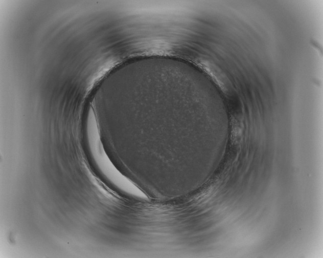 X0000097790677200803211821