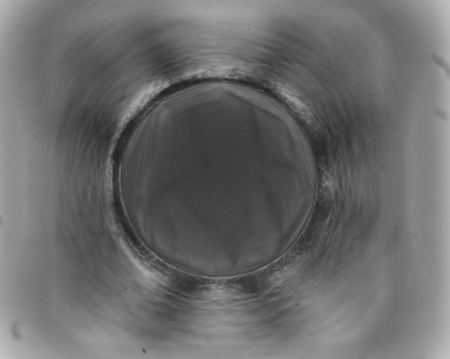 X0000097790678200803211821