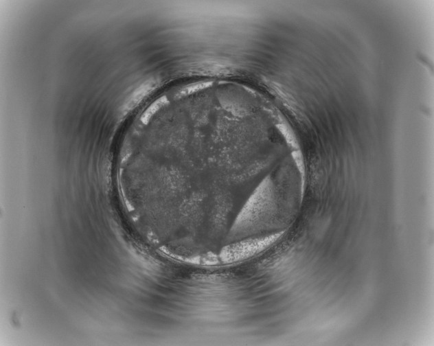 X0000097790679200803211821