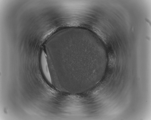 X0000097790681200803211821