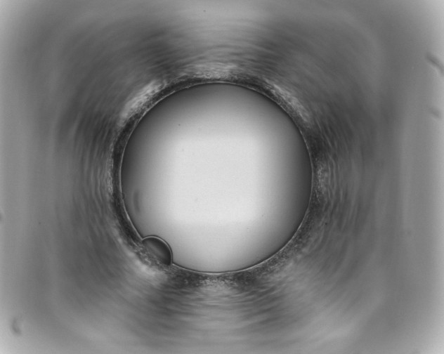 X0000097790682200803211821