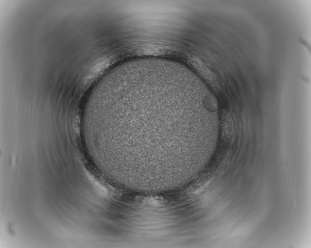 X0000097790683200803211821