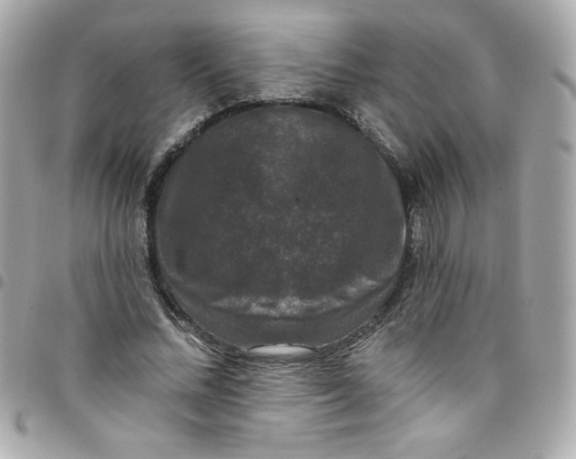 X0000097790684200803211821