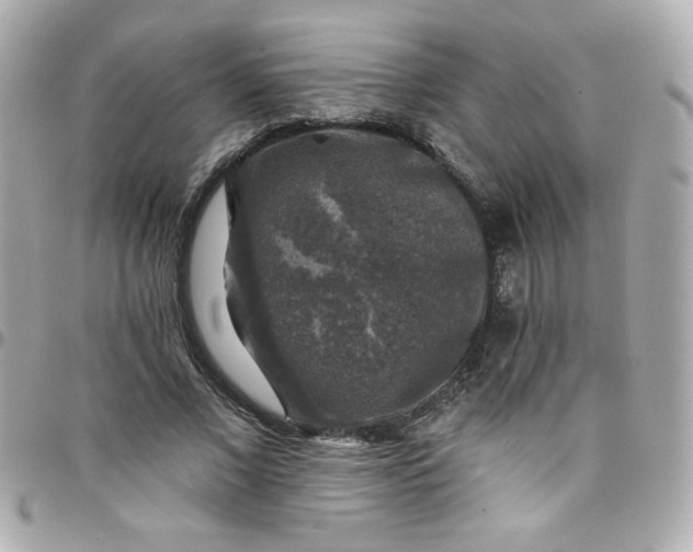 X0000097790685200803211821