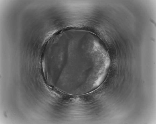 X0000097790688200803211821