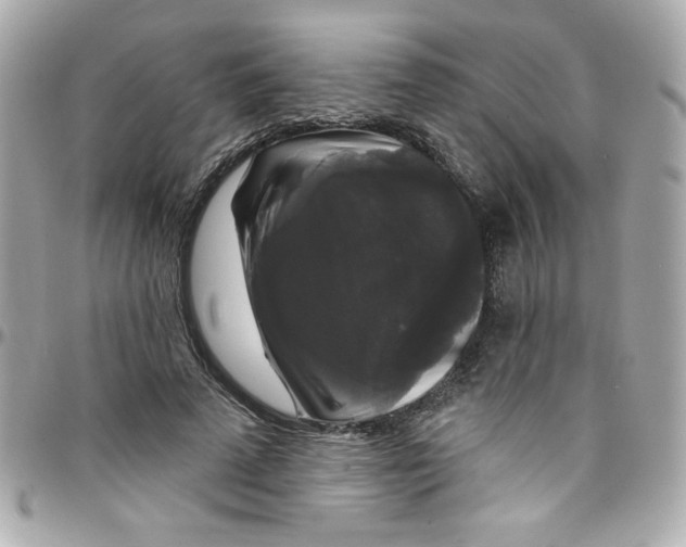 X0000097790689200803211821