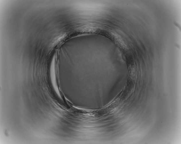 X0000097790692200803211821