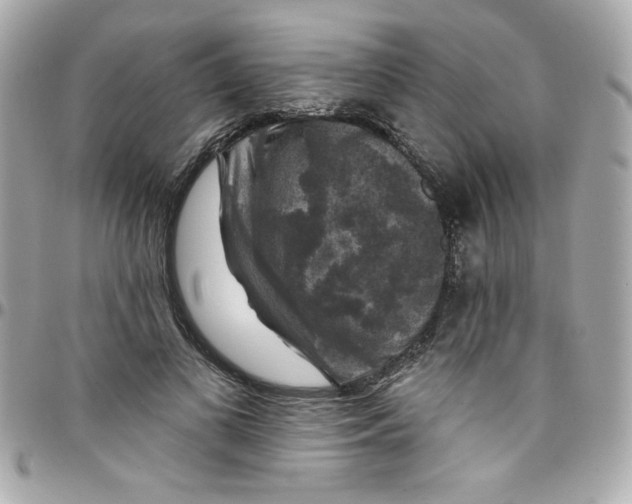 X0000097790693200803211821