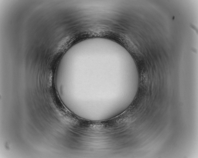 X0000097790694200803211821