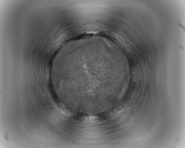 X0000097790695200803211821