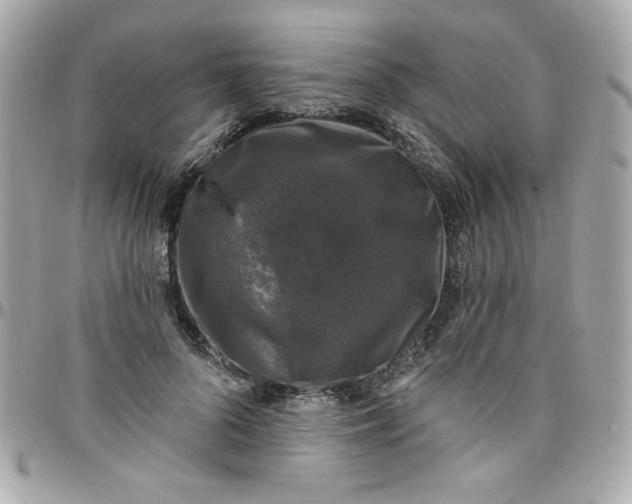 X0000097790696200803211821