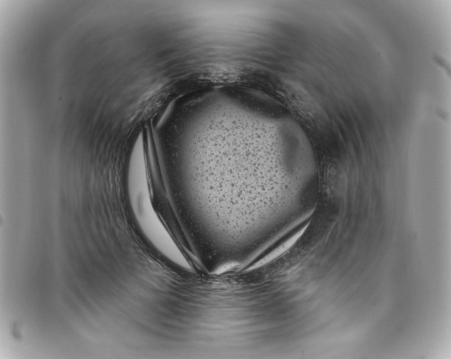 X0000097790697200803211821