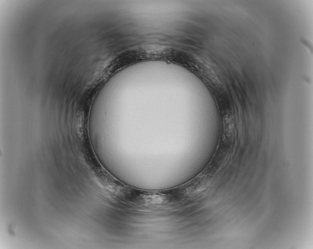 X0000097790698200803211821