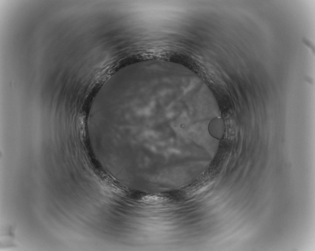 X0000097790699200803211821