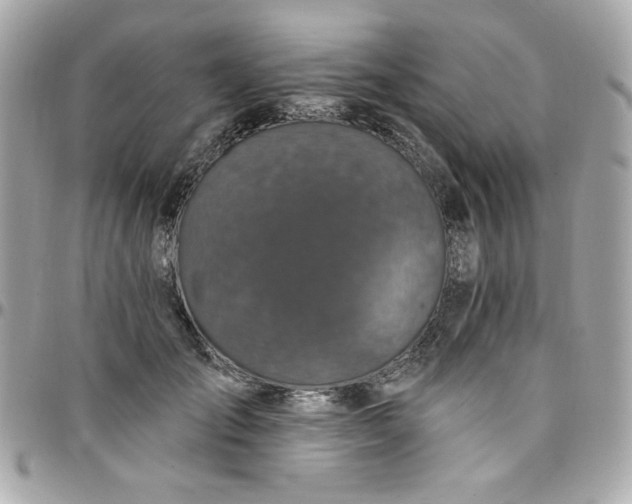 X0000097790701200803211821