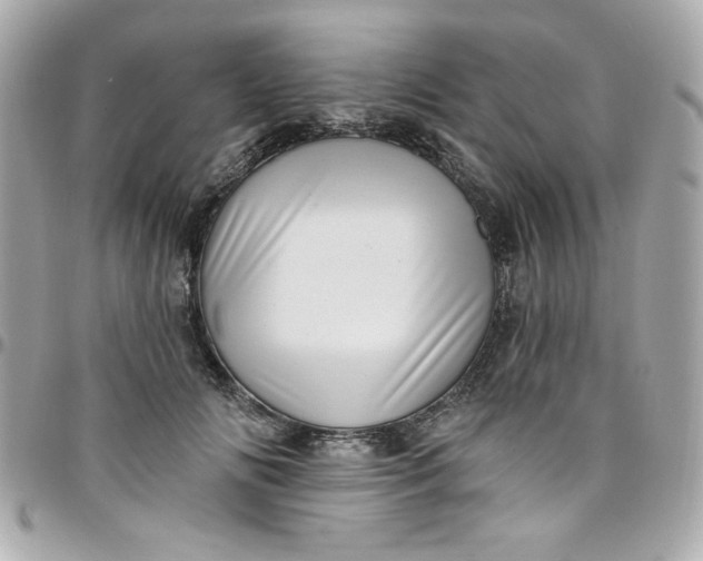 X0000097790702200803211821