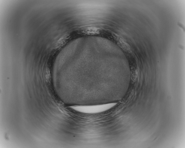 X0000097790704200803211821