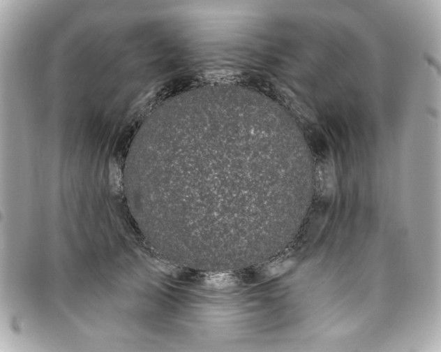 X0000097790705200803211821