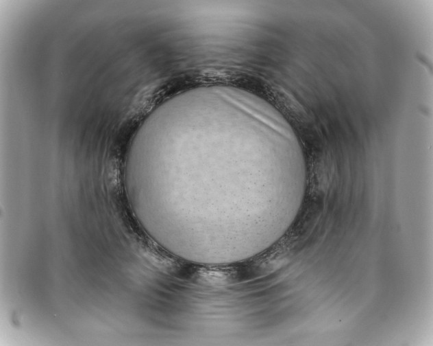 X0000097790706200803211821