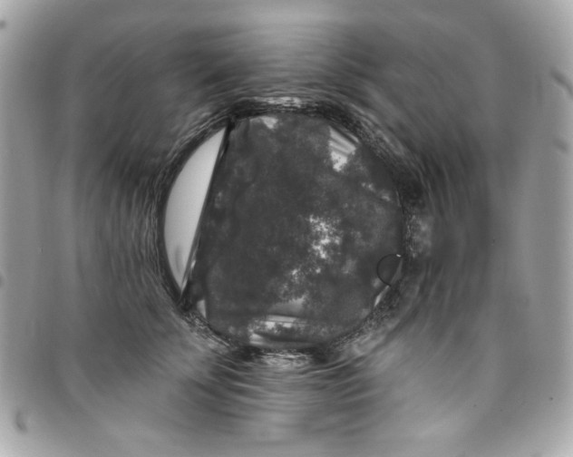 X0000097790707200803211821