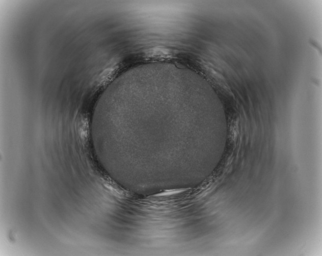 X0000097790708200803211821