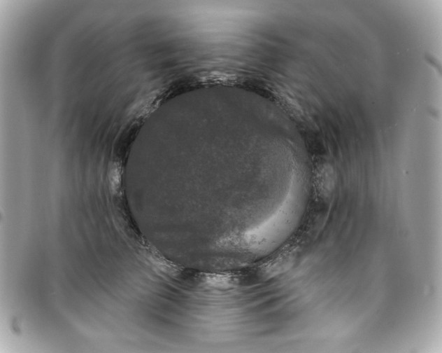 X0000097790709200803211821