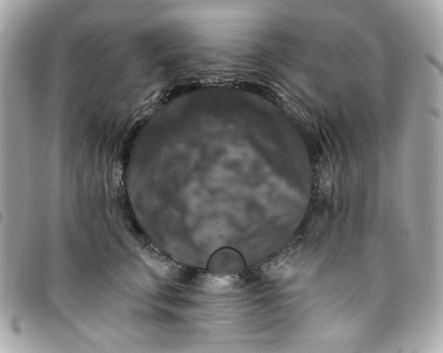 X0000097790711200803211821