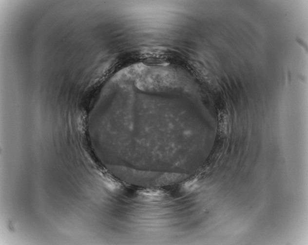 X0000097790712200803211821